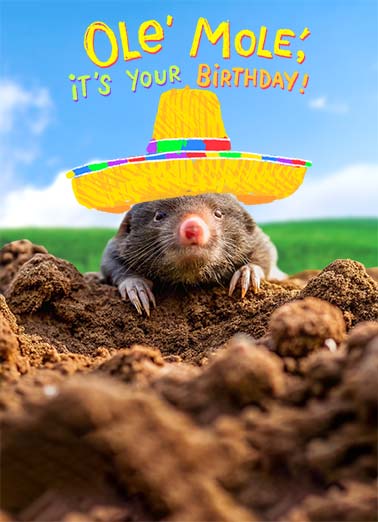 Ole Mole Funny Birthday    Hope it's Muey Bueno